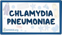 Chlamydia pneumoniae: Vídeo, Anatomía & Definición | Osmosis