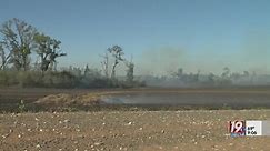 Lawrence County Fire Departments Fight 200-acre Field Fire near Courtland | Oct. 21, 2023 | News 19 at 9 p.m.