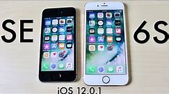 iPHONE 6S Vs iPHONE SE On iOS 12.0.1! (Speed Comparison)