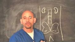 Atlanta Chiropractor - Back Pain or Kidney Problems? - Personal Injury Doctor Atlanta
