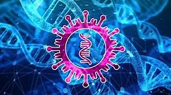 Biological Importance of DNA and RNA - (ONLY ZOOLOGY)