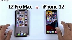 iPhone 12 Pro Max vs iPhone 12 - SPEED TEST