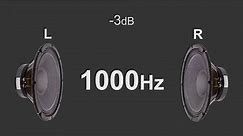 Stereo test tone Left and Right by frequency from 50Hz to 16000Hz