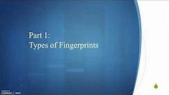 Fingerprint Analysis Part 1: Types of Fingerprints