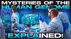 The Human Genome project Is What Made You! Secrets Of Human DNA.