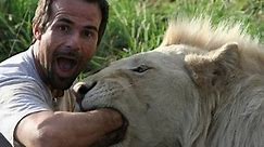 Documentaries discovery channel animals - live with lion and hyena - animal planet documentary