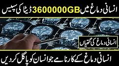 interesting facts about human brain power and development in science technology | urdu cover