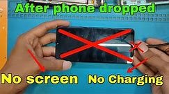 After dropped Phone,No Screen,No Charging...