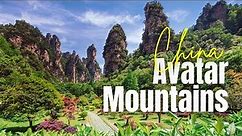Zhangjiajie National Forest Park Travel : The Real Life AVATAR Mountains