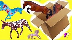 Box of New Horses ! Traditional, Club, Freedom Series Breyer Horse Haul Video