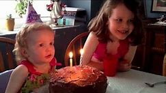Tessa's 2nd birthday cake
