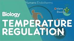 Temperature Regulation Of The Human Body | Physiology | Biology | FuseSchool