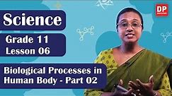 Lesson 06 - Biological Processes in Human Body (Part 02) | Grade 11 Science in English
