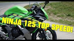 2019 Kawasaki Ninja 125 TOP SPEED