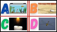 Learn Words from A to Z - A for Aquarium, B for Bull, C for Candle,.. Z for Zipper - Future Champz