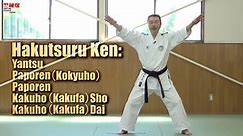 Study Through Bunkai The Quintessence of Karate Hakutsuru-ken – The Paporen Kata