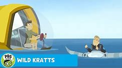 WILD KRATTS | Deep Sea Exploration | PBS KIDS