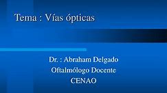 PPT - Tema : Vías ópticas PowerPoint Presentation, free download - ID:910140
