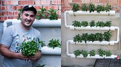 How To Make inexpensive Hydroponic System and start Hydroponics Garden At home 2021.