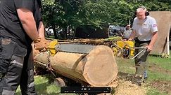 Antique and Vintage chainsaw demonstration, including vintage hot saws