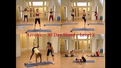 Aerobic - 30 Day Shred - Level 2