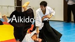 Beautiful Martial Arts - Aikido