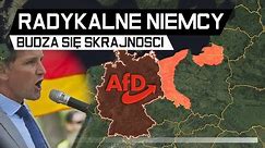 Niemcy chcą ZMIANY GRANIC POLSKI - Radykalizacja NIEMIEC (AFD)