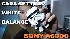 Cara Setting White Balance | Sony A6000 | 2021