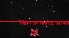 Trippy Cat Minimal Techno After Hours Mix 2022