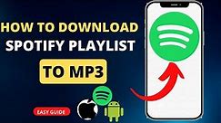 How To Download Spotify Playlist To Mp3 (EASY)