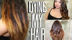 Fixing my hair: Garnier Olia Brilliant Color 6.3 Light Golden Brown