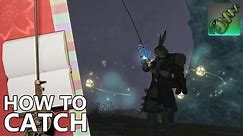 How to Catch Lopoceras Elegans in FFXIV (The "Pasta Fish")