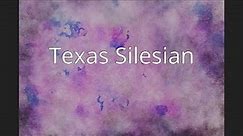 Texas Silesian
