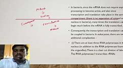 Part-15-Types of RNA and the process of transcription.