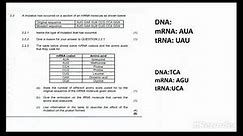 DNA:CODE OF LIFE EXAM QUESTIONS AND ANSWERS