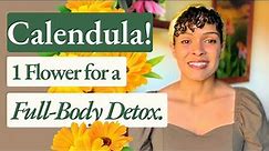 Calendula! Health Benefits & Medicinal Uses