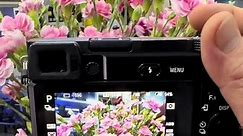 Sony a6100 bản nâng cấp của a6300 - quay video 4k , màn cảm ứng , wifi .. #xuhuong #sony #sonya #mayanh #mayanhhanoi #foryou #fyp #viral #canonphotography #camerangockhanh