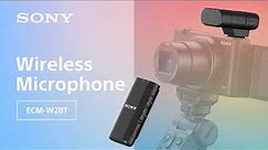Introducing Wireless Microphone ECM-W2BT | Sony | Accessory