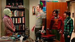 The Big Bang Theory Season 5 Episode 7 The Good Guy Fluctuation