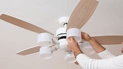 Hunter Ceiling Fan Light Not Working – What To Do?