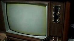 Zenith 25CC50 Television TV Repair Vintage Color Hybrid Tube Set