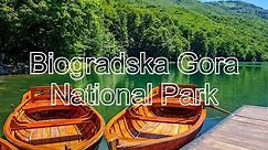 Biogradska Gora National Park - Biogradsko Lake - Montenegro