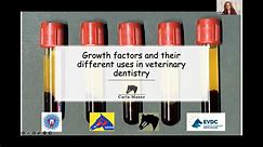 Webinar HDE - Growth Factors and their Different Uses in Veterinary Dentistry - Carla Manso