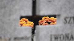 Wszystkich Świętych 2023 w Sieradzu. Cmentarz komunalny. Sieradzanie od rana odwiedzali groby bliskich ZDJĘCIA