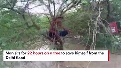 Man Sits On A Tree For 22 Hours In Delhi To Save Him From Yamuna Water Rise