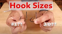 Everything You Need To Know About Fishing Hook Sizes