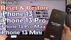 How to Reset/Restore iPhone 13/Pro/Pro Max/Mini Factory Reset Forgot Passcode iPhone is Disabled Fix