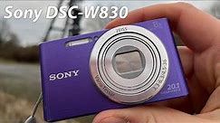 Sony Cyber-shot DSC-W830 digital camera test in 2024 with images