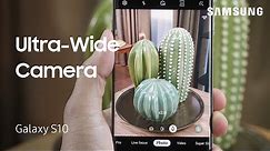 Using the Ultra Wide Camera on Your Galaxy S10 | Samsung US