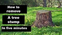 how to remove tree stumps easily: Self-Made Tricks with a Crowbar, machete, and digging fork